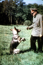 Hitler, Blondi