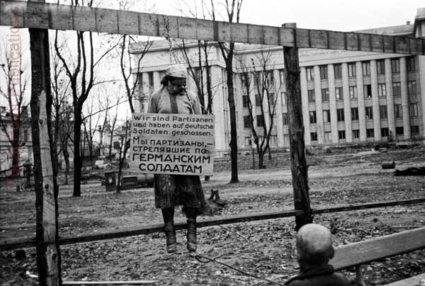 66_executions