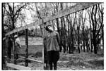 68_executions