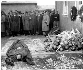 German civilians and American officers view bodies of twenty typhus dead 