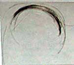 LOCK OF HITLER'S hair 